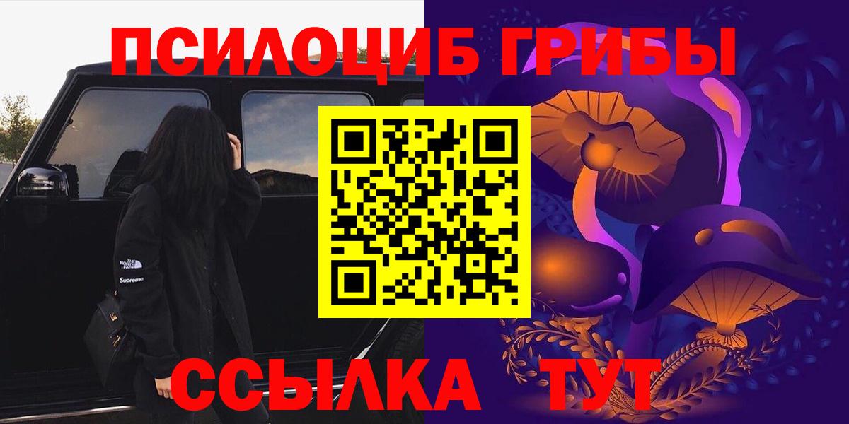 Псилоцибиновые грибы прущие грибы  Вход с VPN  Павлово 